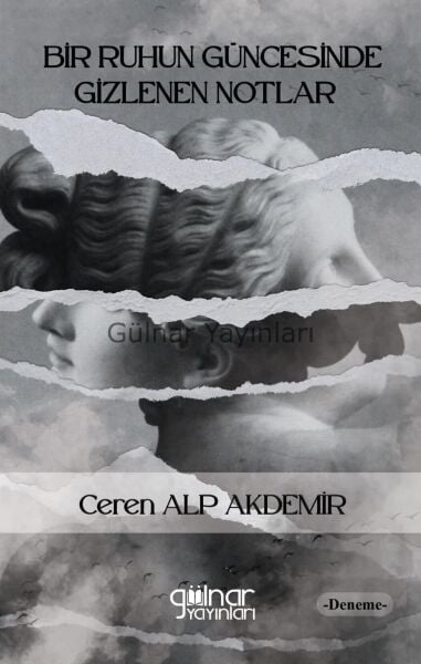 Bir Ruhun Güncesinde Gizlenen Notlar / Ceren Alp Akdemir