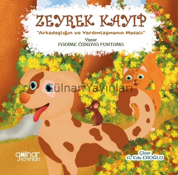 Zeyrek Kayıp / Fadime Özkaya Furtana