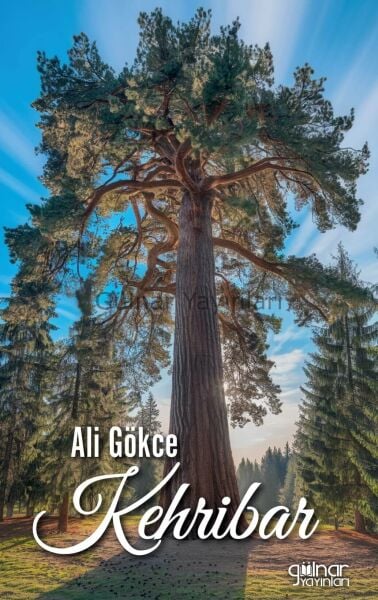 Kehribar / Ali Gökçe