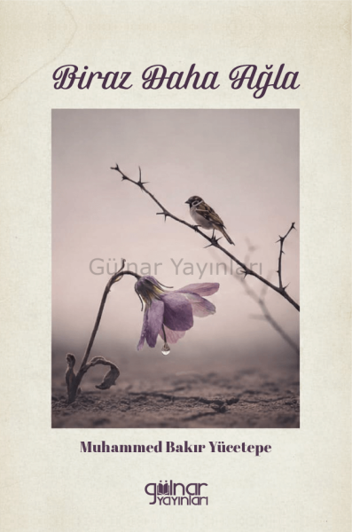 Biraz Daha Ağla / Muhammed Bakır Yücetepe