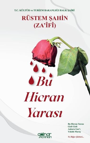 Bu Hicran Yarası / Rüstem Şahin